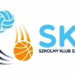 Kluby E-sportowe: Budowanie Społeczności i Rywalizacji
